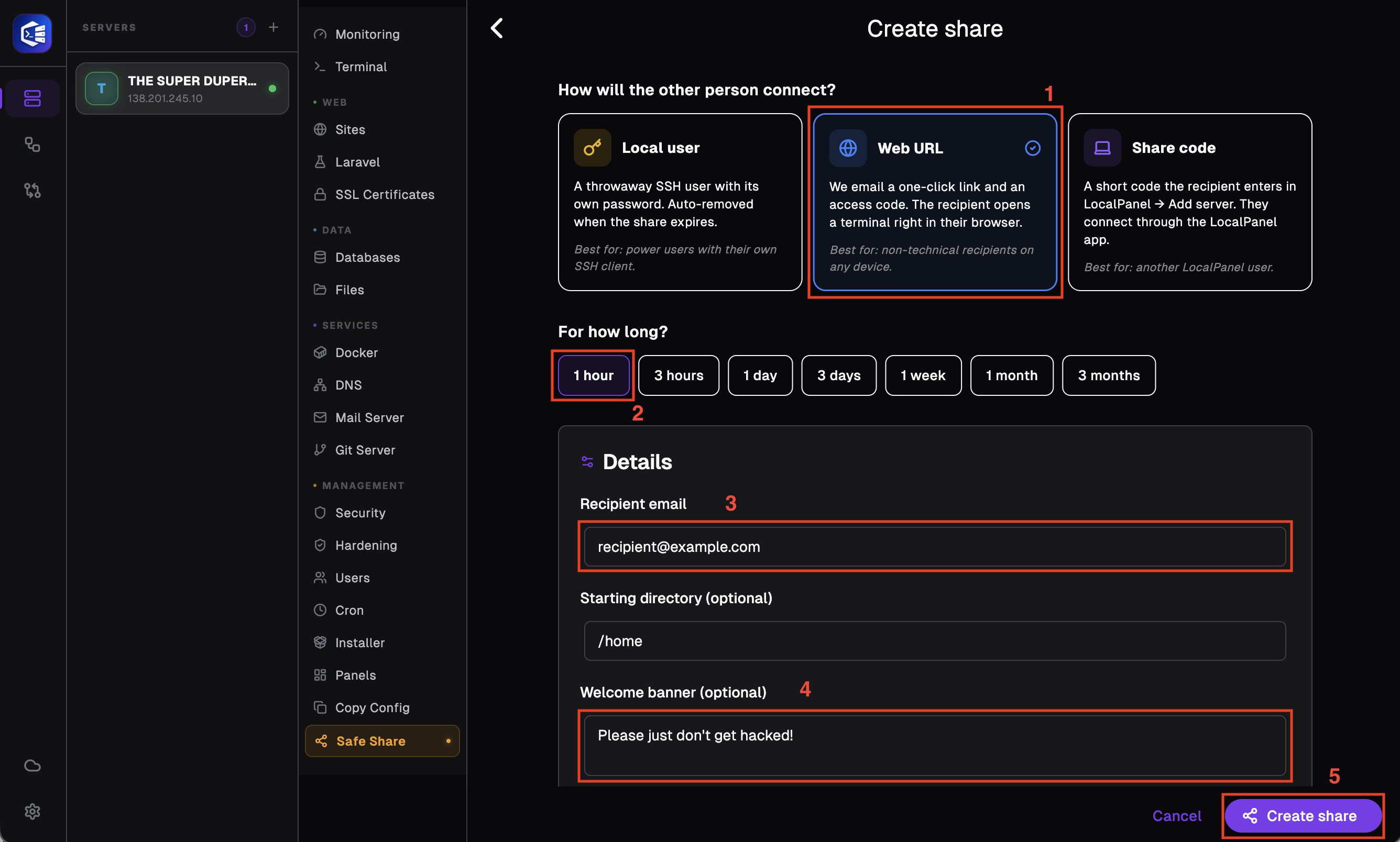 Safe Share 8 - web terminal and setting up