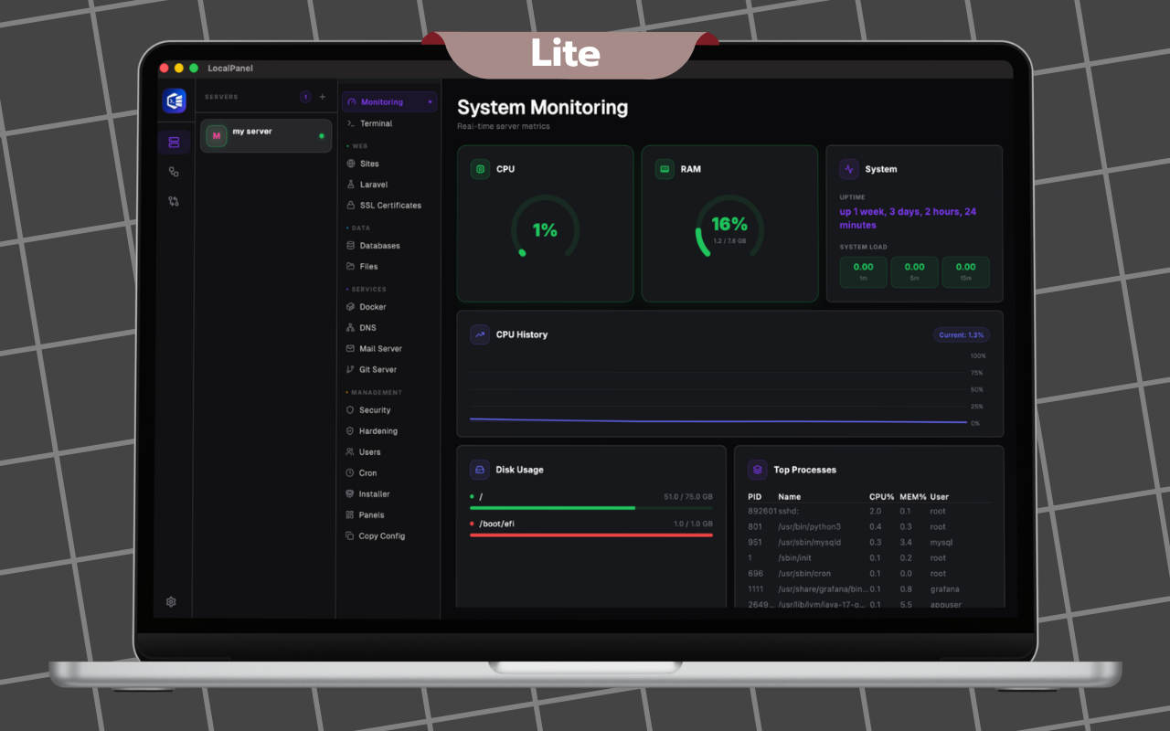 Local Panel Lite interface showing the lightweight server management view