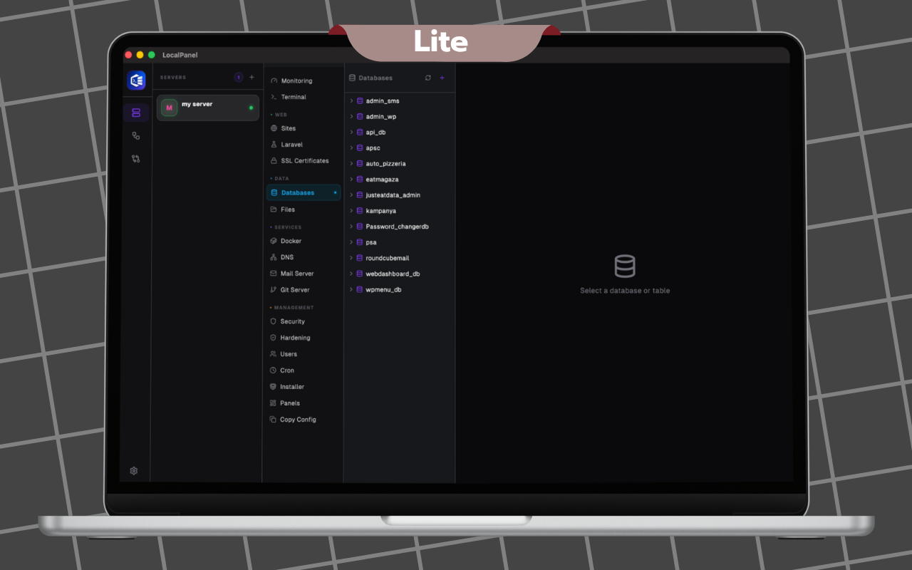 Managing a server in Local Panel Lite